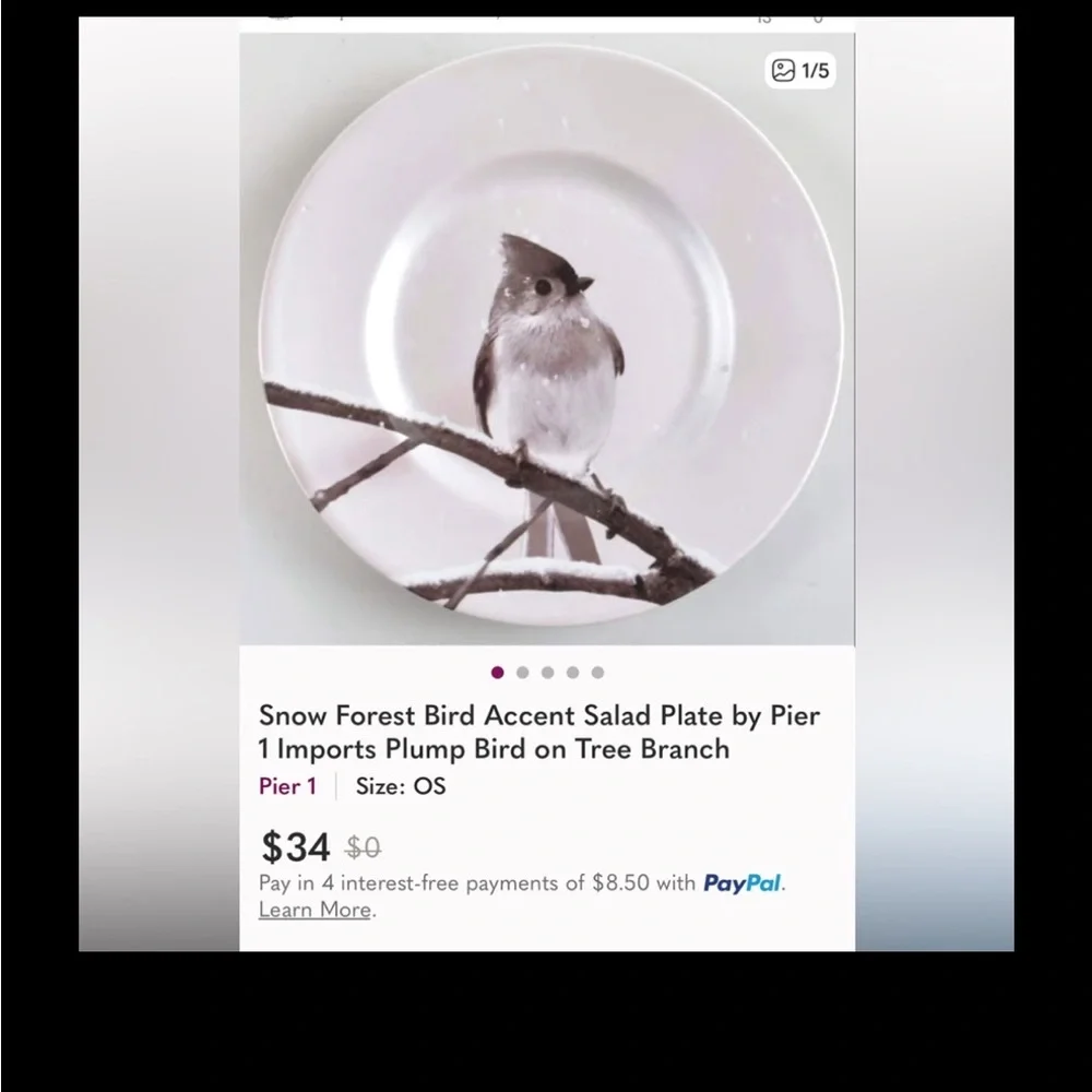 Pier 1 Winter Snowy Tufted Titmouse Bird on a Branch. Salad/ Accent Plate